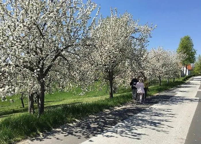 Thermen By Interhome Ferienhaus